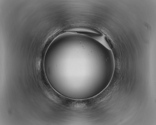 X0000115810491200911131423