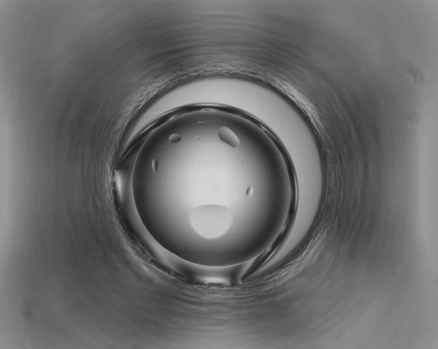 X0000115810493200911131423