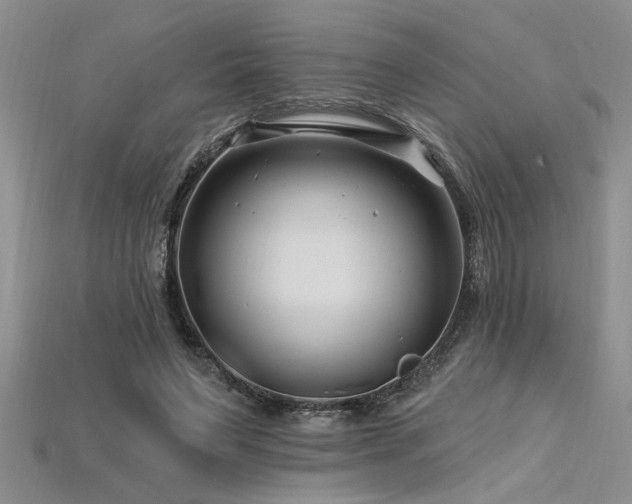 X0000115810495200911131423