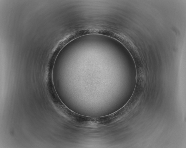 X0000115810496200911131423