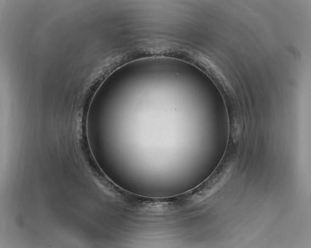 X0000115810497200911131423
