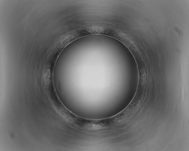 X0000115810498200911131423