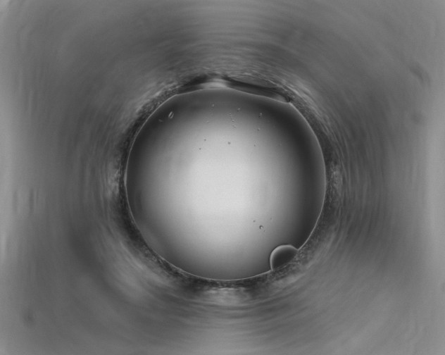 X0000115810499200911131423