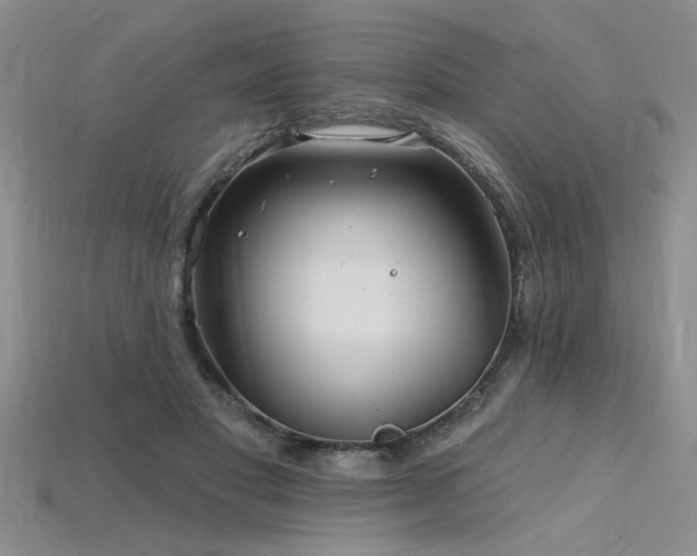 X0000115810501200911131423