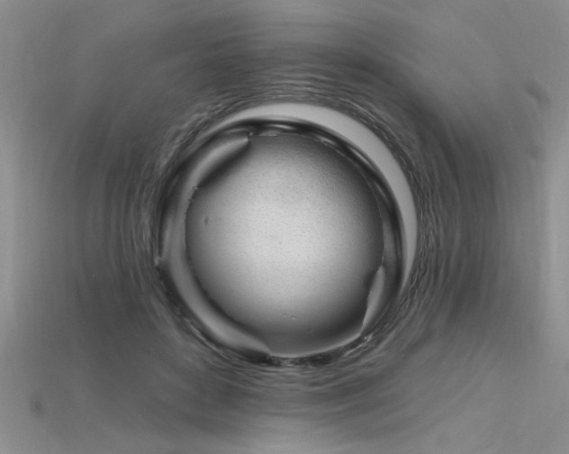 X0000115810504200911131423