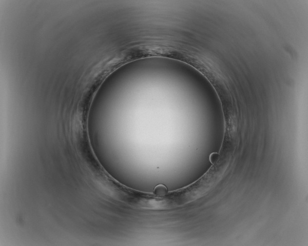 X0000115810506200911131423