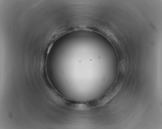 X0000115810509200911131423