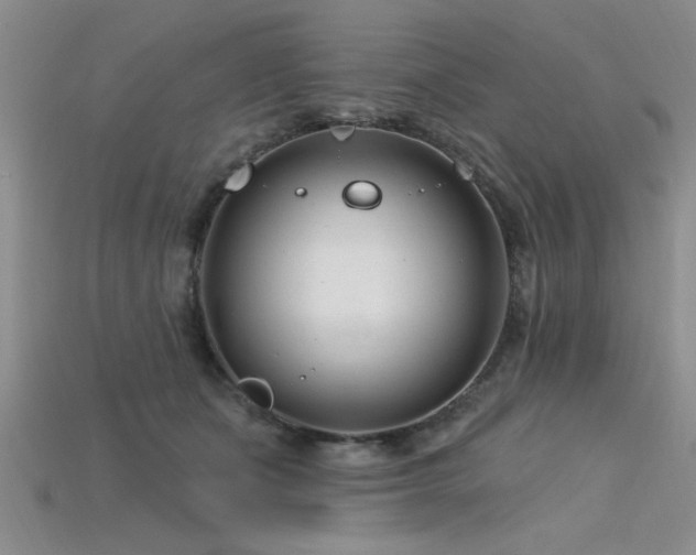X0000115810511200911131423