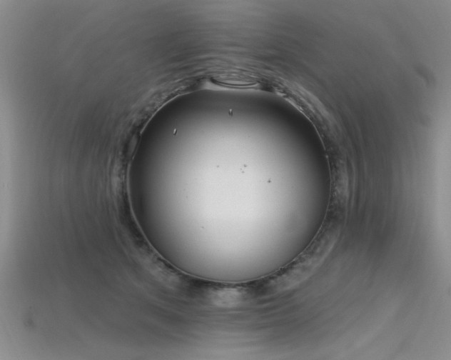 X0000115810513200911131423