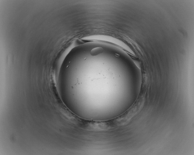 X0000115810517200911131423