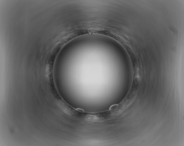 X0000115810519200911131423