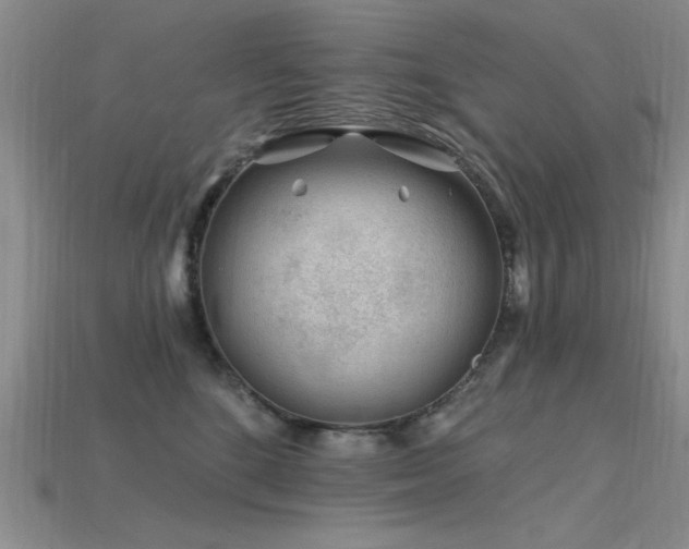 X0000115810520200911131423