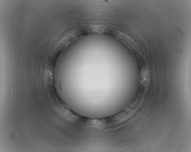 X0000115810522200911131423