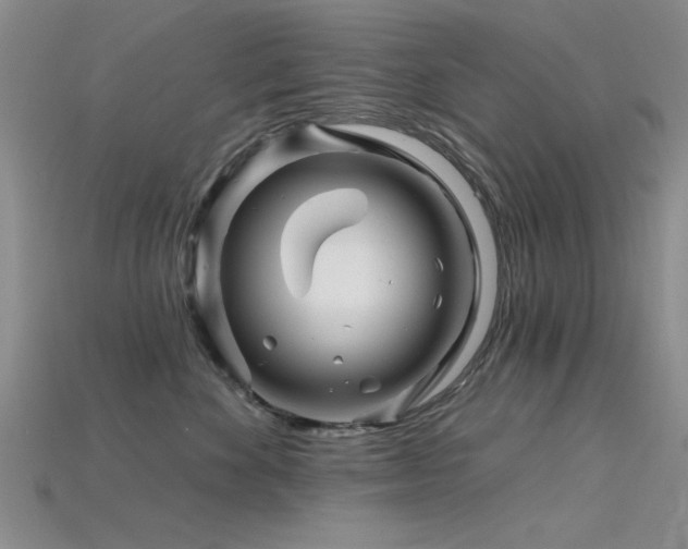 X0000115810524200911131423