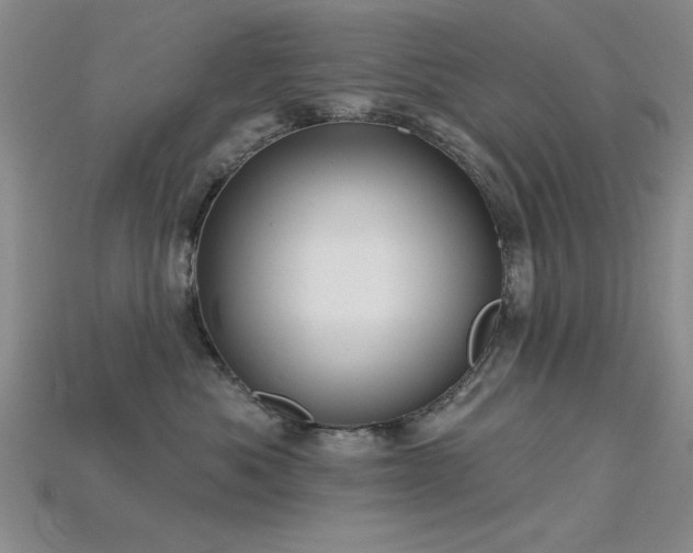X0000115810525200911131423