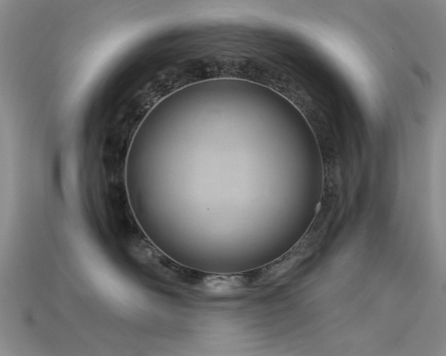 X0000115810526200911131423
