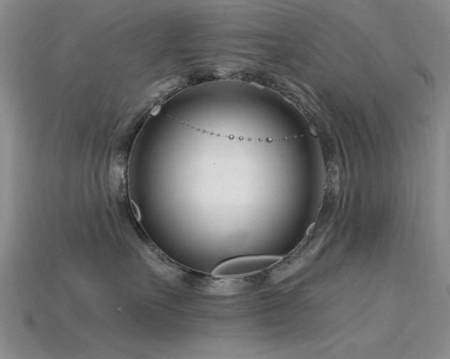 X0000115810527200911131423