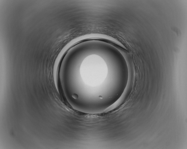 X0000115810528200911131423