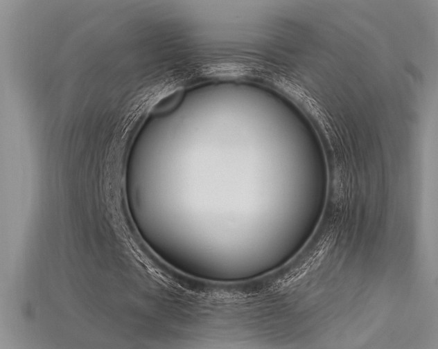 X0000115810529200911131422