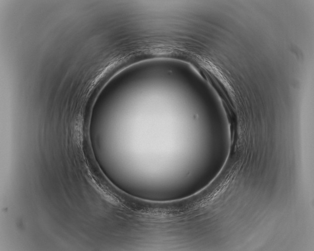 X0000115810530200911131422