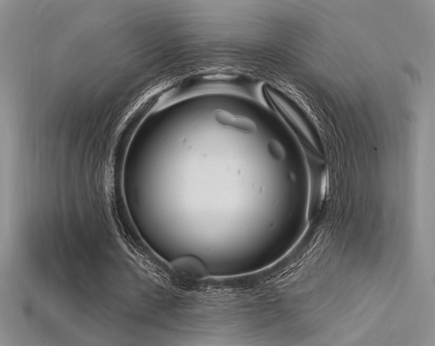 X0000115810531200911131422