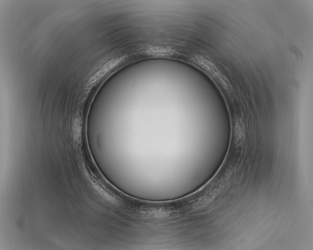 X0000115810533200911131422