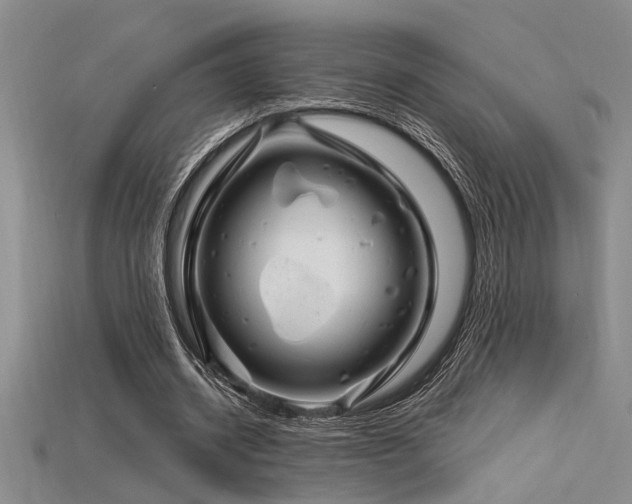 X0000115810534200911131422