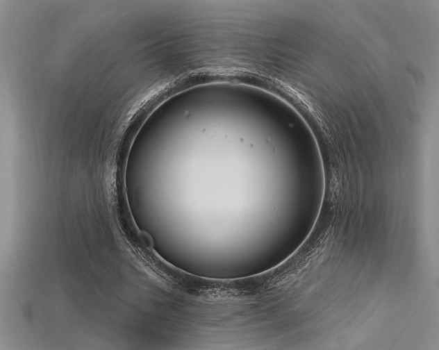 X0000115810535200911131422