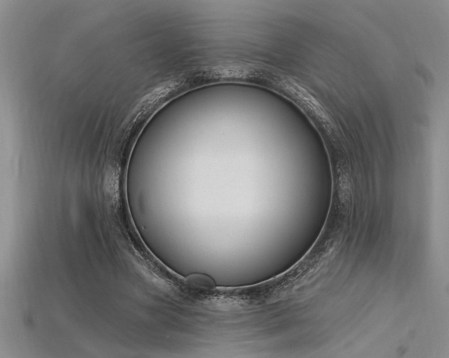X0000115810537200911131422