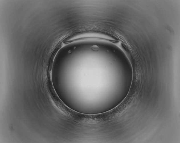 X0000115810538200911131422