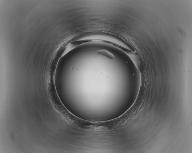 X0000115810539200911131422