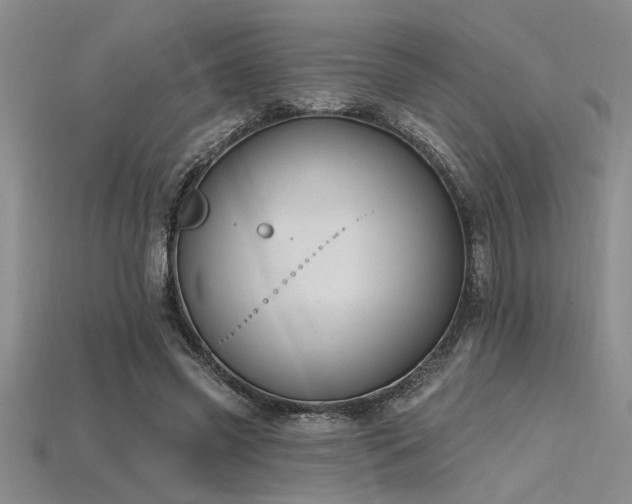 X0000115810541200911131422