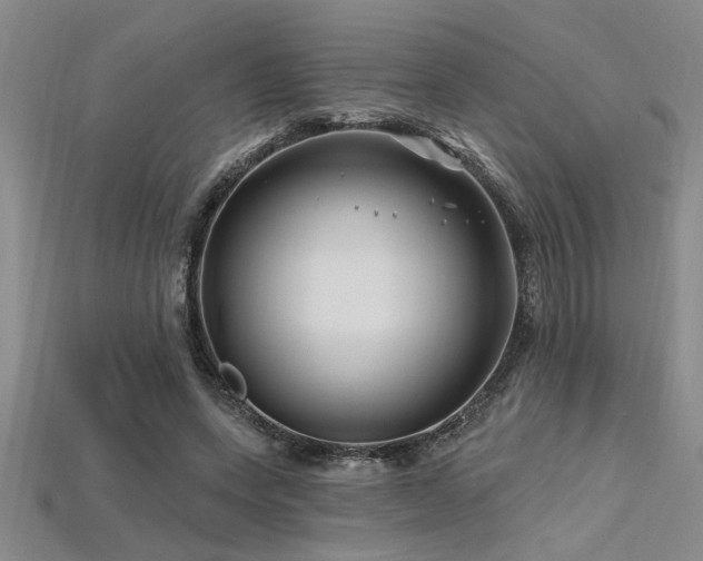 X0000115810543200911131422