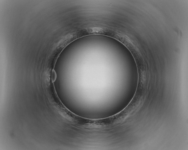 X0000115810545200911131422