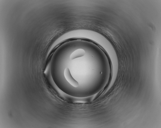 X0000115810546200911131422
