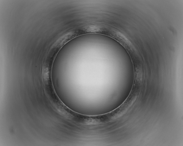 X0000115810549200911131422