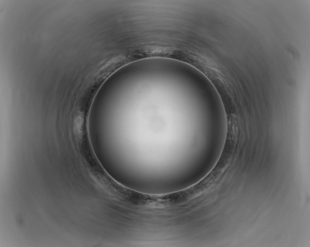 X0000115810550200911131422