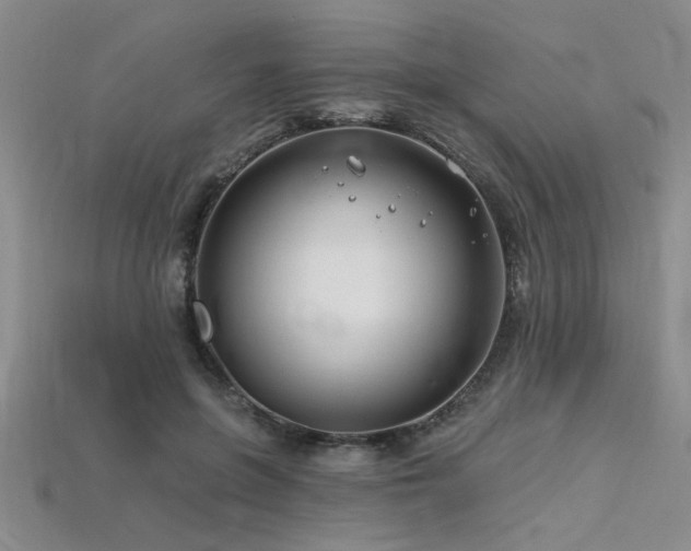 X0000115810551200911131422