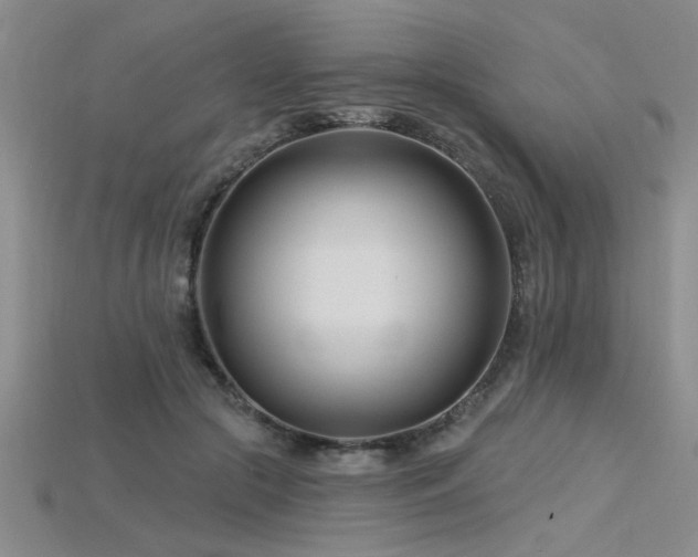 X0000115810553200911131422
