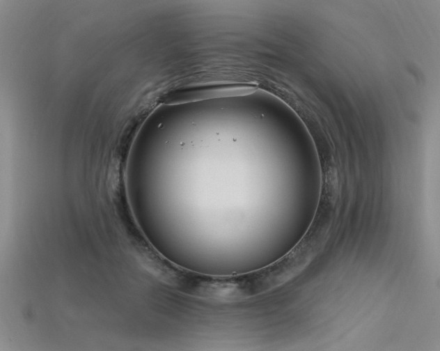 X0000115810554200911131422