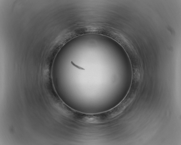 X0000115810557200911131422