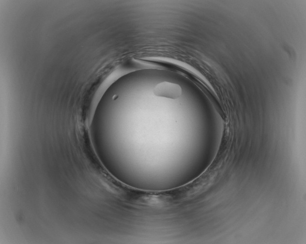 X0000115810558200911131422