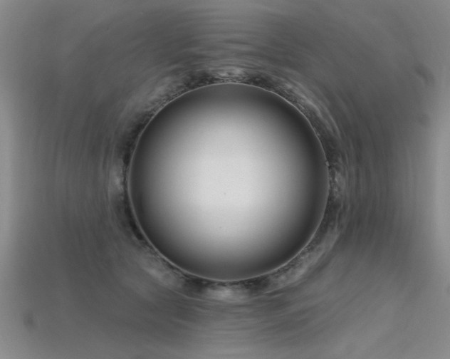 X0000115810561200911131423