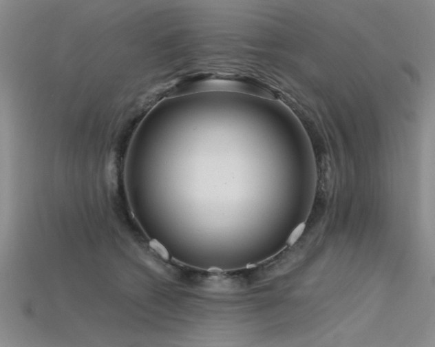 X0000115810562200911131423