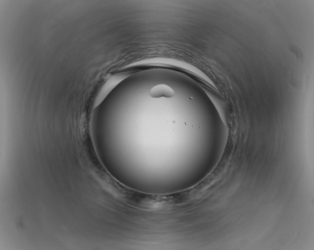 X0000115810563200911131423