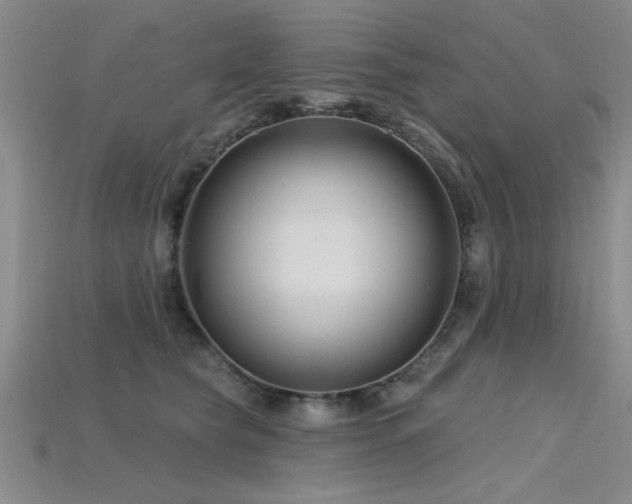 X0000115810565200911131423