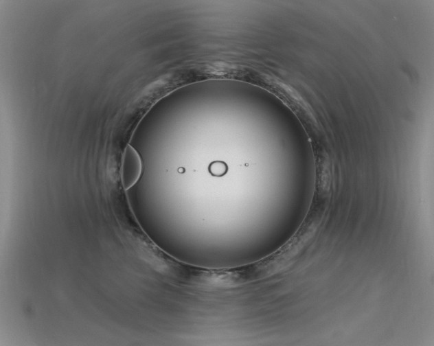 X0000115810569200911131423