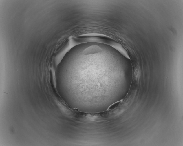 X0000115810570200911131423