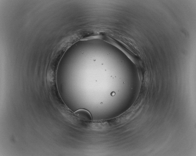 X0000115810571200911131423