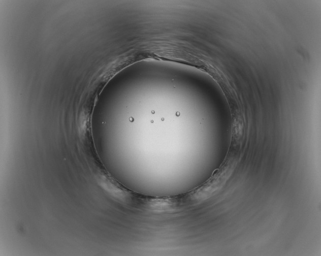 X0000115810574200911131423
